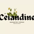 ED Celandine Font