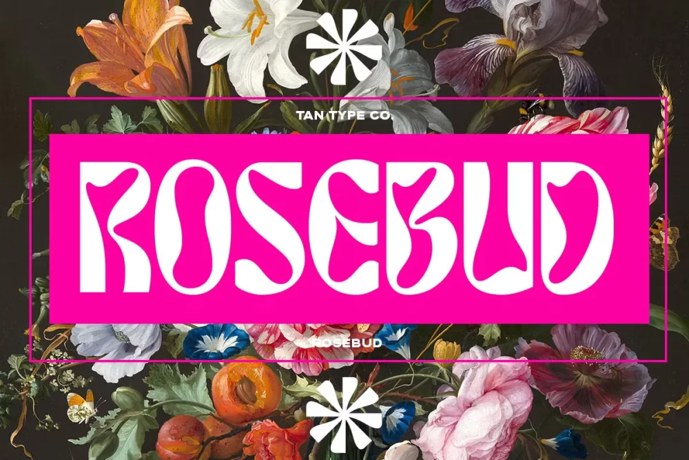 Tan - Rosebud Font