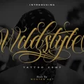 Wildstyle Font