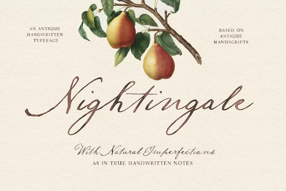 Nightingale Script Font
