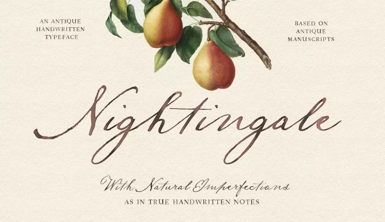 Nightingale Script Font