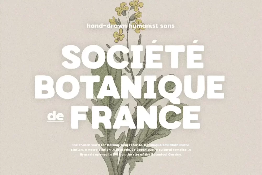 HV Botanique Font