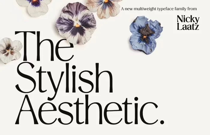 Stylish Aesthetic Font