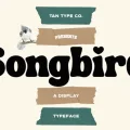 Tan Songbird Font